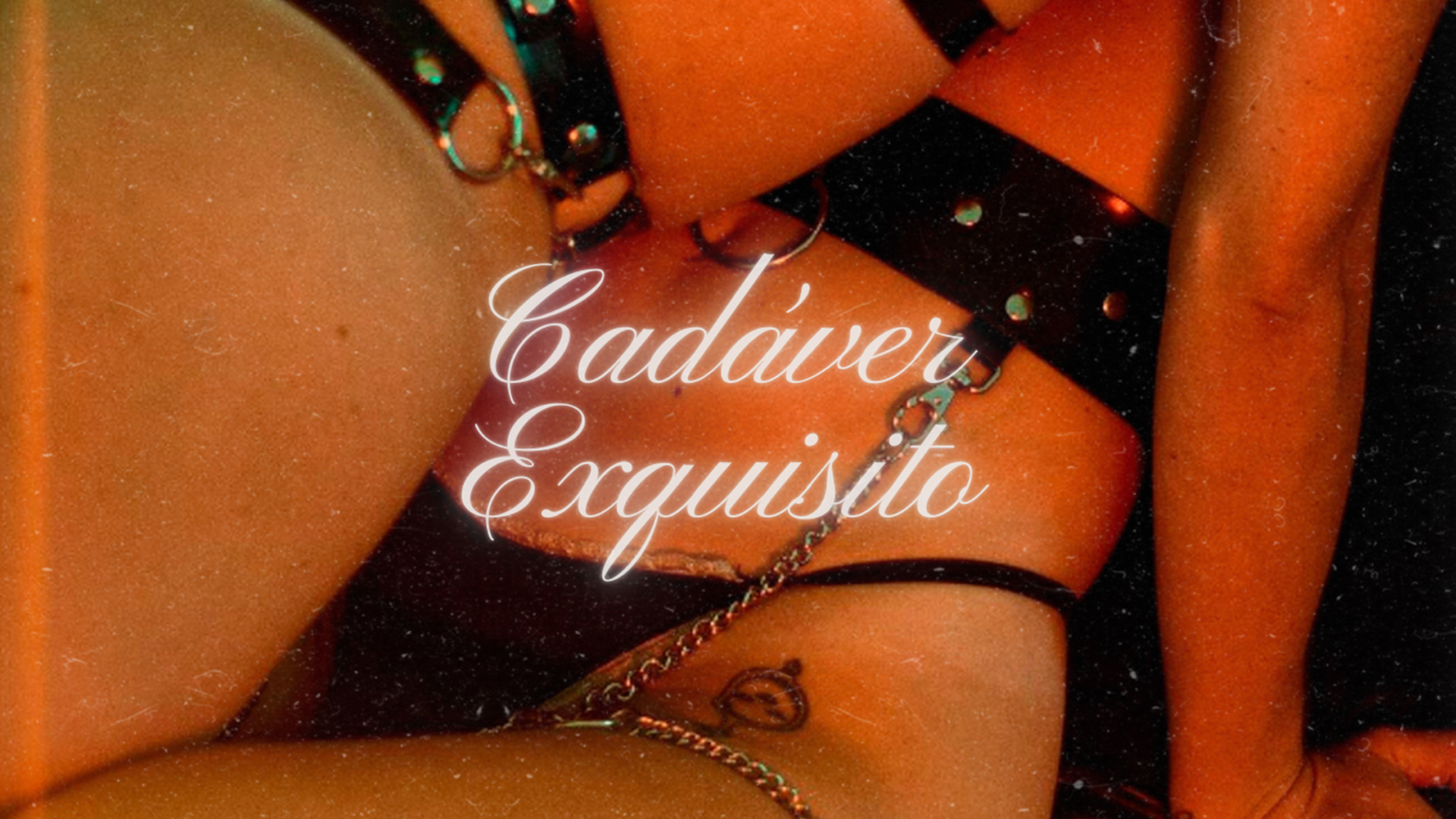 cadaver